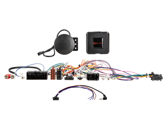 S.W.I. Ford Diverste Voertuigen 24Pin/Display Multilead