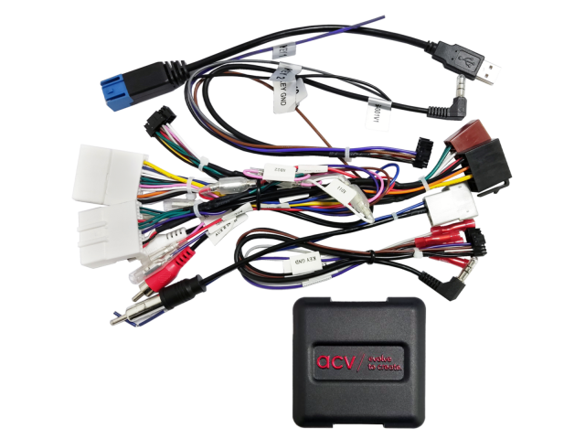 S.W.I. Nissan 20Pin/ 24Pin Multilead USB/ AUX