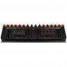 GAS MAD Level 1 Two Channel amplifier                                                               